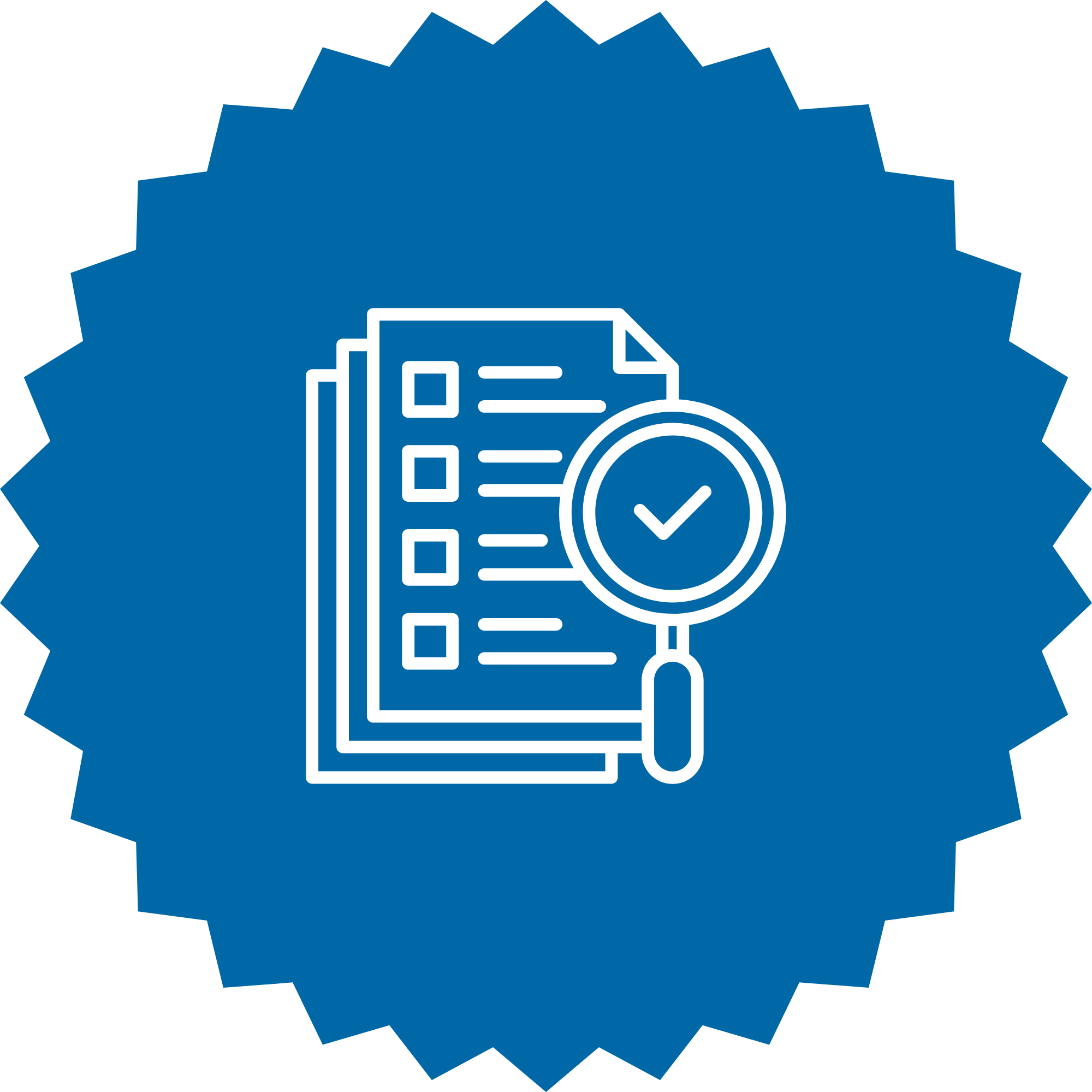 Coding Audits